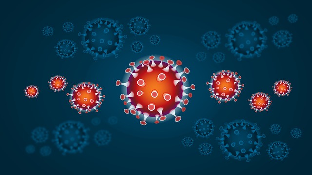 Virus